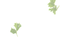 floating veggies