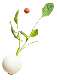 floating veggies